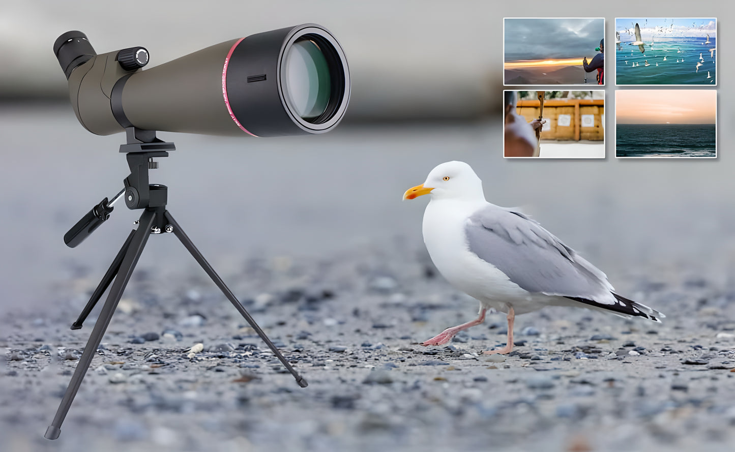Longa-Vista SV13 com Zoom 20x-60x - Modelos 65mm e 80mm À Prova d'Água e Preenchidos com Azoto