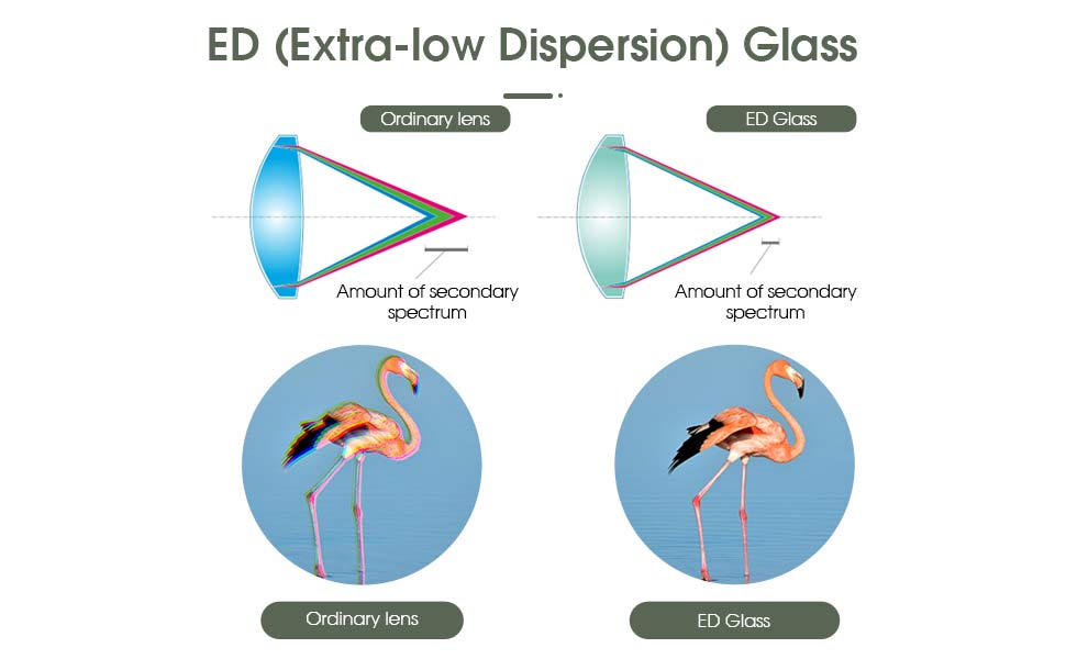 Longue-Vue SVBONY SA405 20-60x85 ED avec Système Optique de Haute Qualité