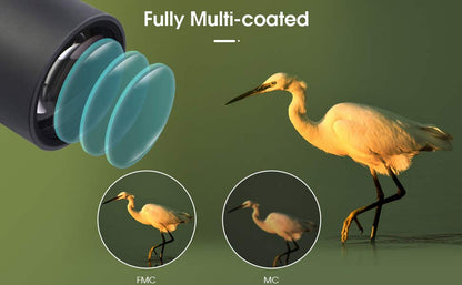 Longue-vue SVBONY SA405 20-60x85 ED pour Observation de la Faune et Ornithologie - Verre ED