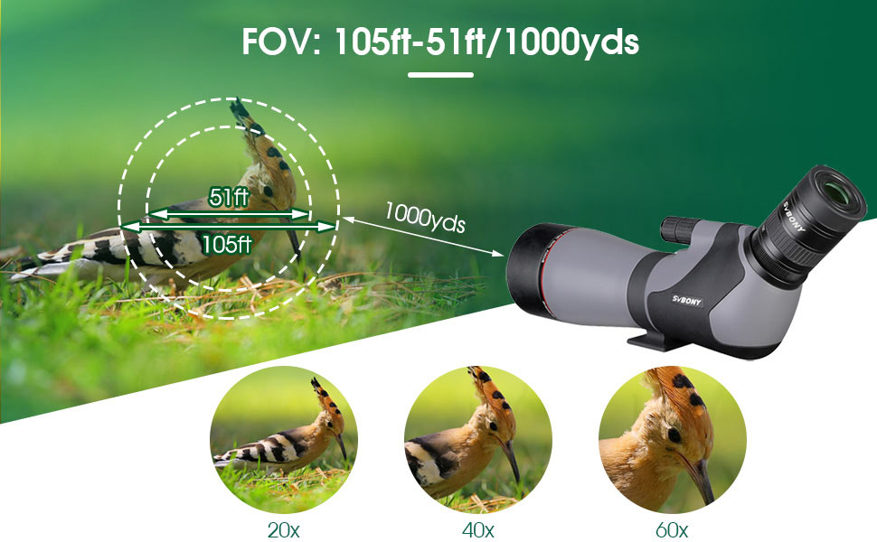 Télescope de Observation SV46P 20-60x80 ED - SVBONY