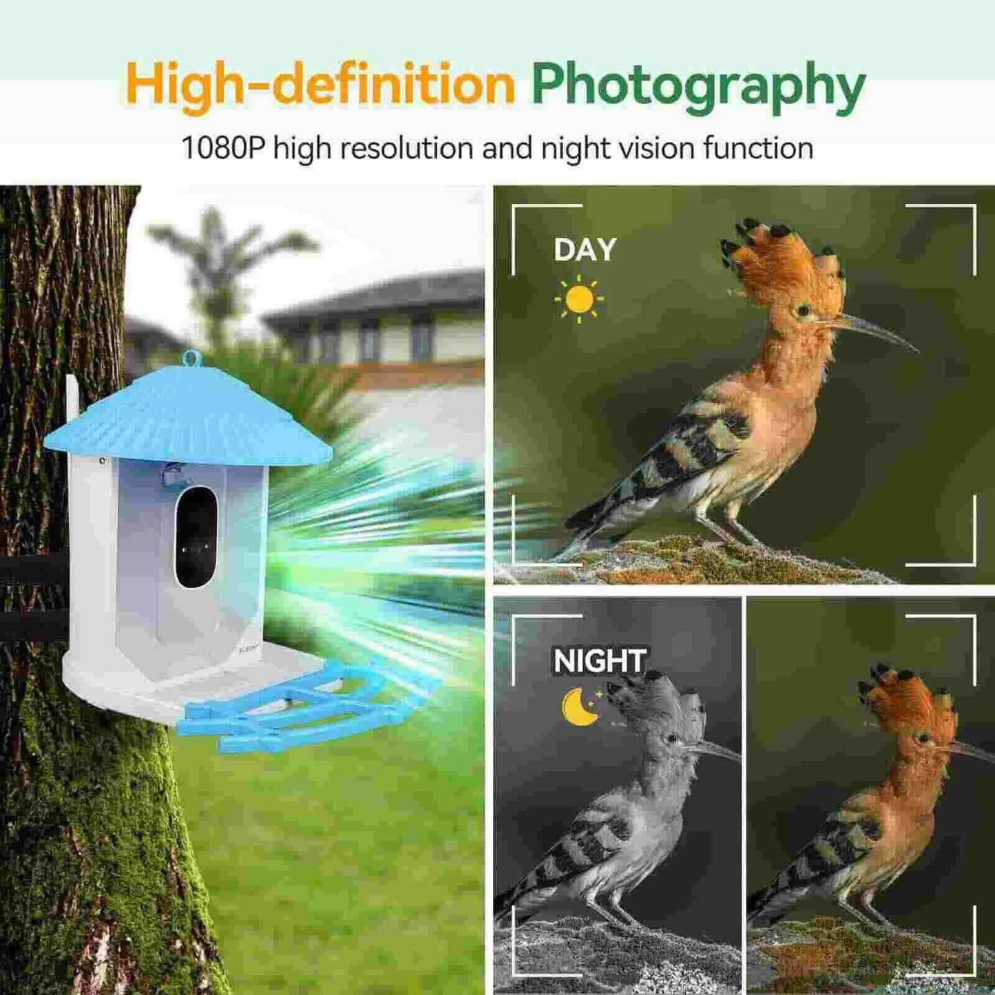 Smart Feeder SC101 with HD Camera for Bird Watching - SVBONY